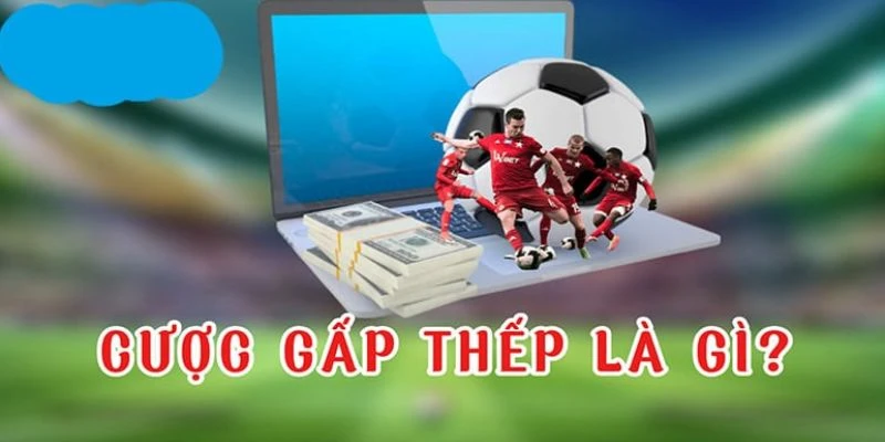 Khái quát về cược gấp thếp